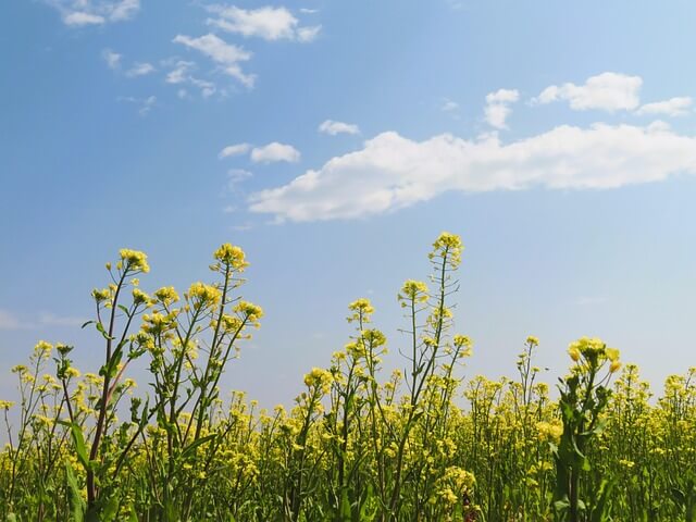 인간의 본능, 죄성을 넘어 진정한 자유의지로..