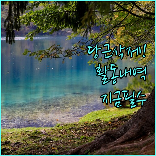 당근마켓 동네생활 글 삭제: 나의 활..