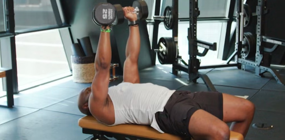 근육량 늘리는 기본 원리