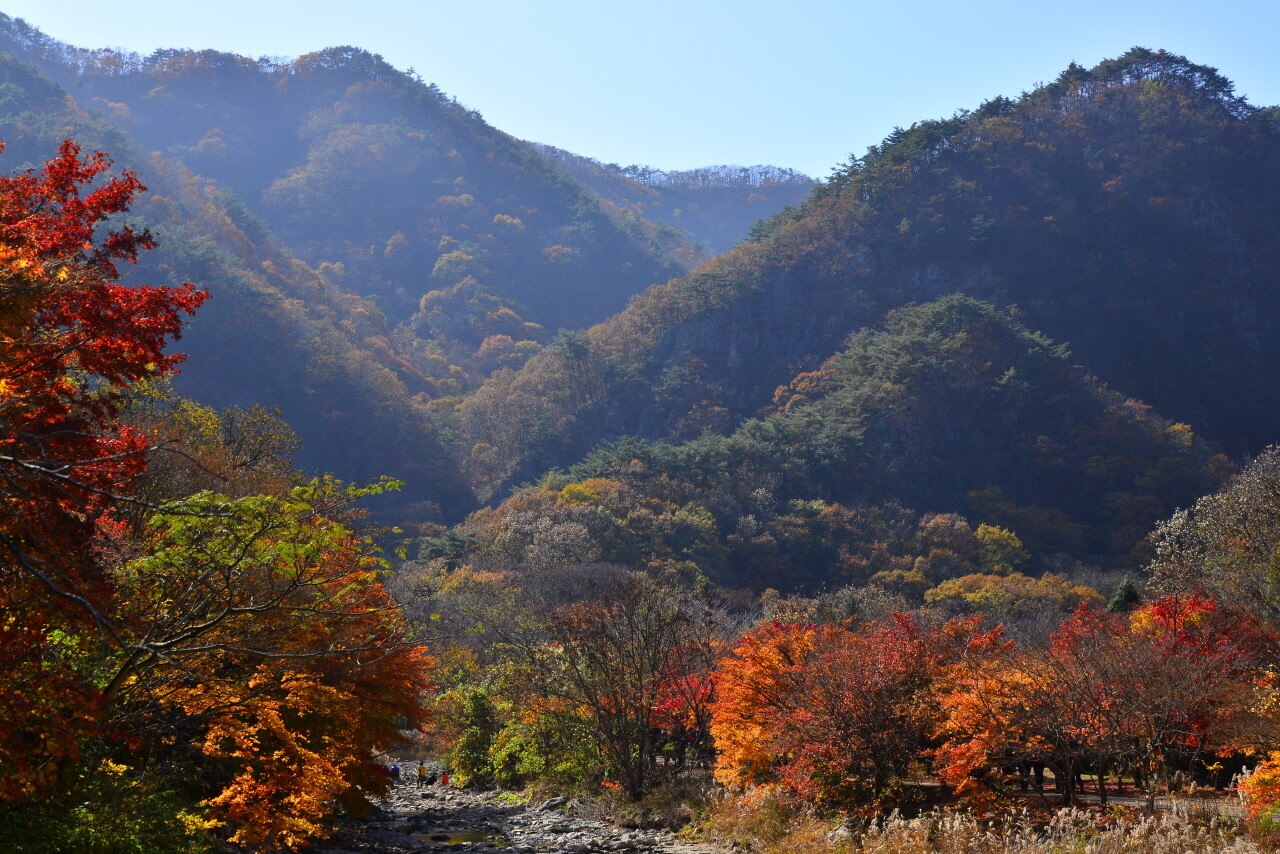 내장산