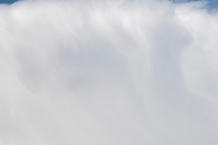 국민비서 소비쿠폰