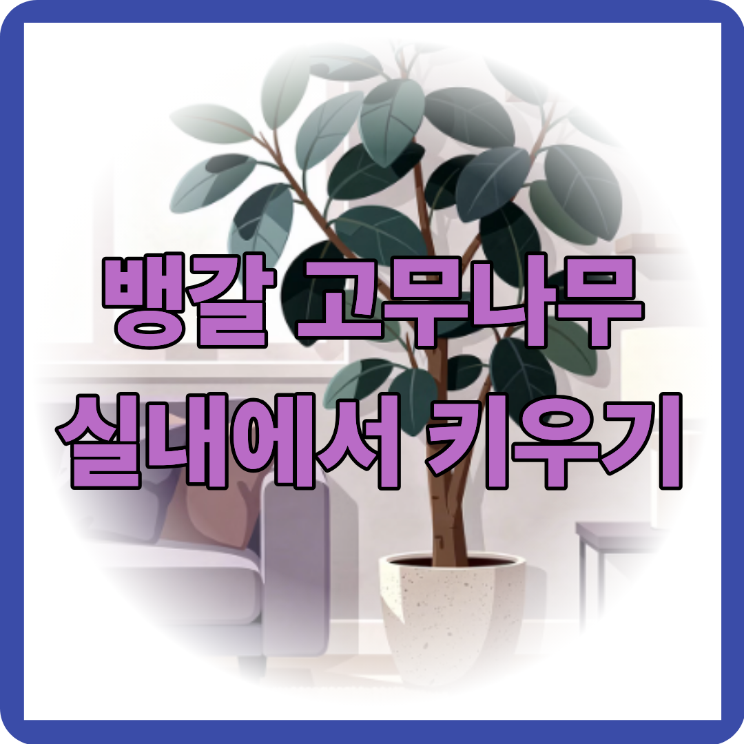 뱅갈 고무나무 실내에서 키우기