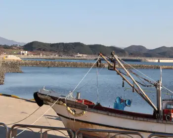 홍성 남당항 대하축제27