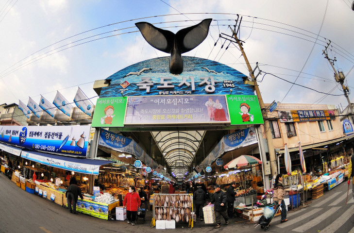 포항 죽도시장