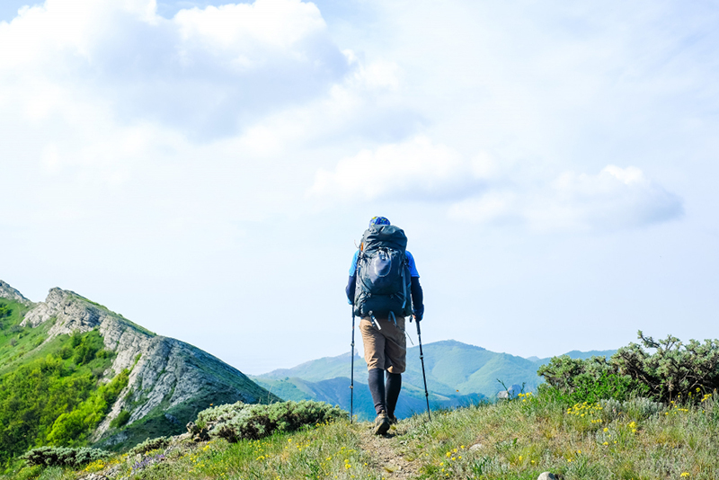 한라산 탐방예약 신청, 이용요금