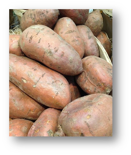 구워 먹어도 찌어 먹어도 맛있는 국민 간식인 고구마