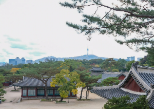 창경궁 야간개장 인터넷 예약 /창경궁 가는 방법/ 무료관람
