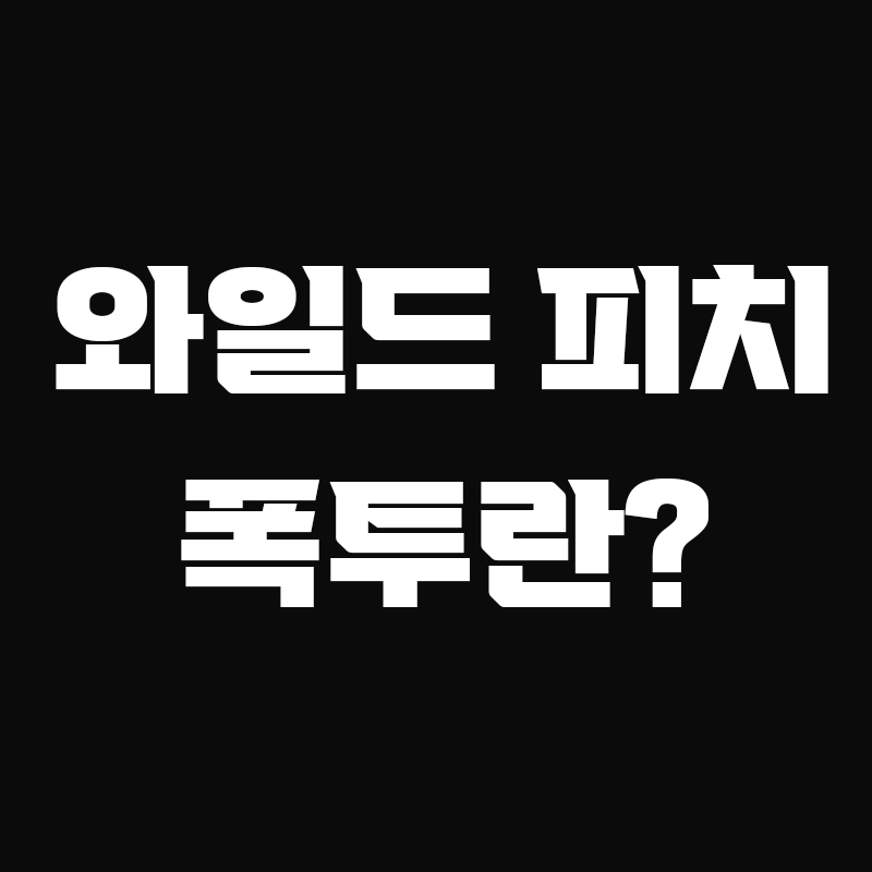 검정색 배경에 와일드 피치 폰투란? 이라고 흰색으로 적혀있는 썸네일