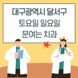 대구 달서구 토요일 일요일 치과 진료 병원 리스트