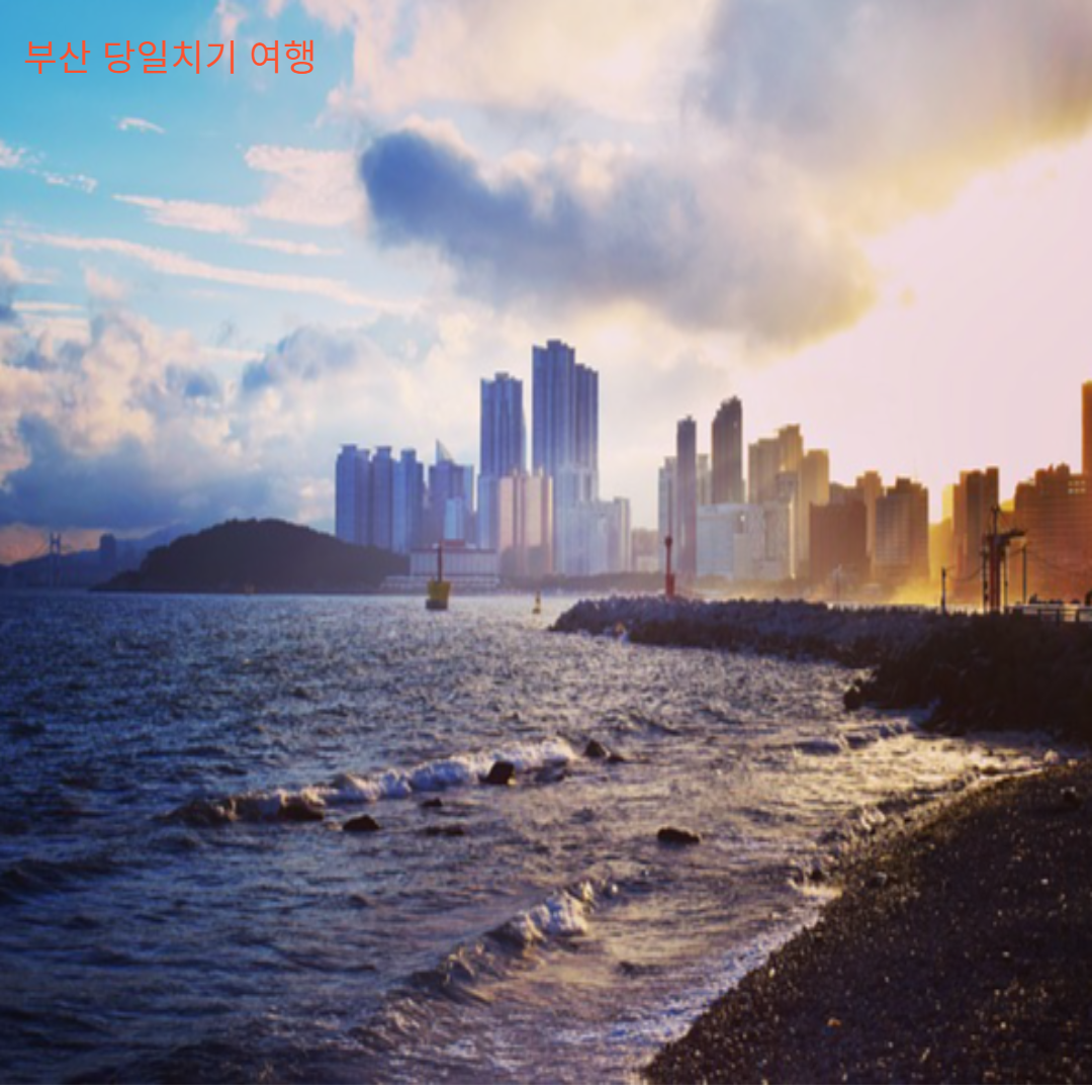 해운대에서 바라본 동백섬