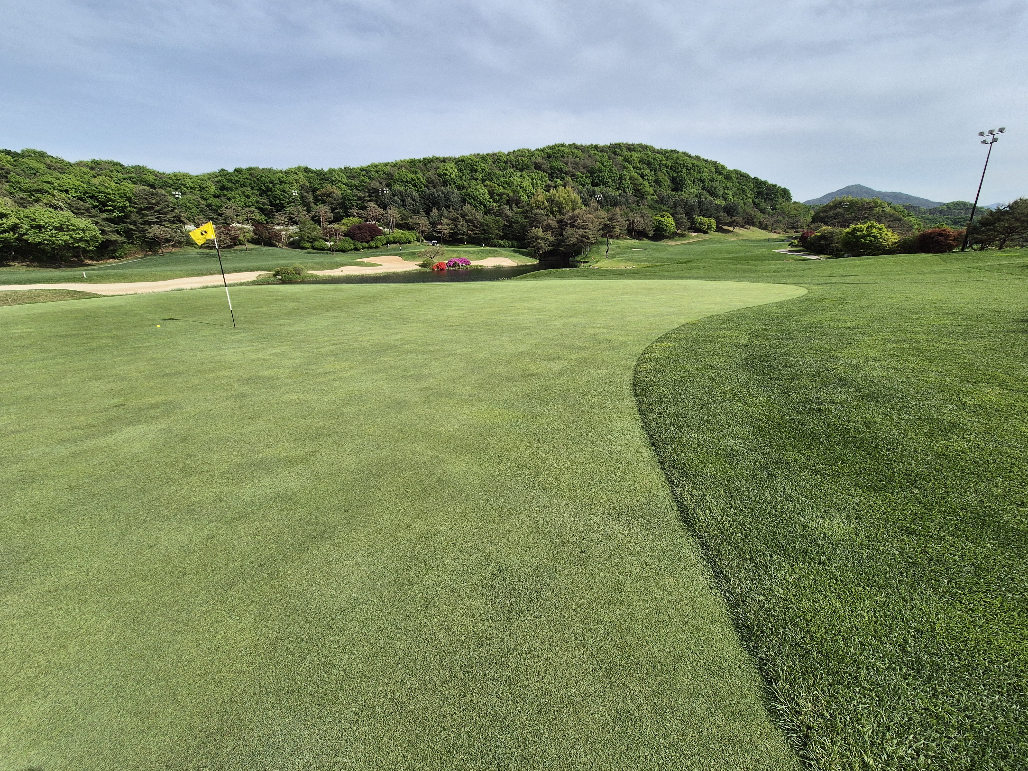 베어크리크cc 크리크코스