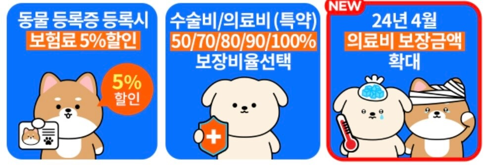 펫보험 비교