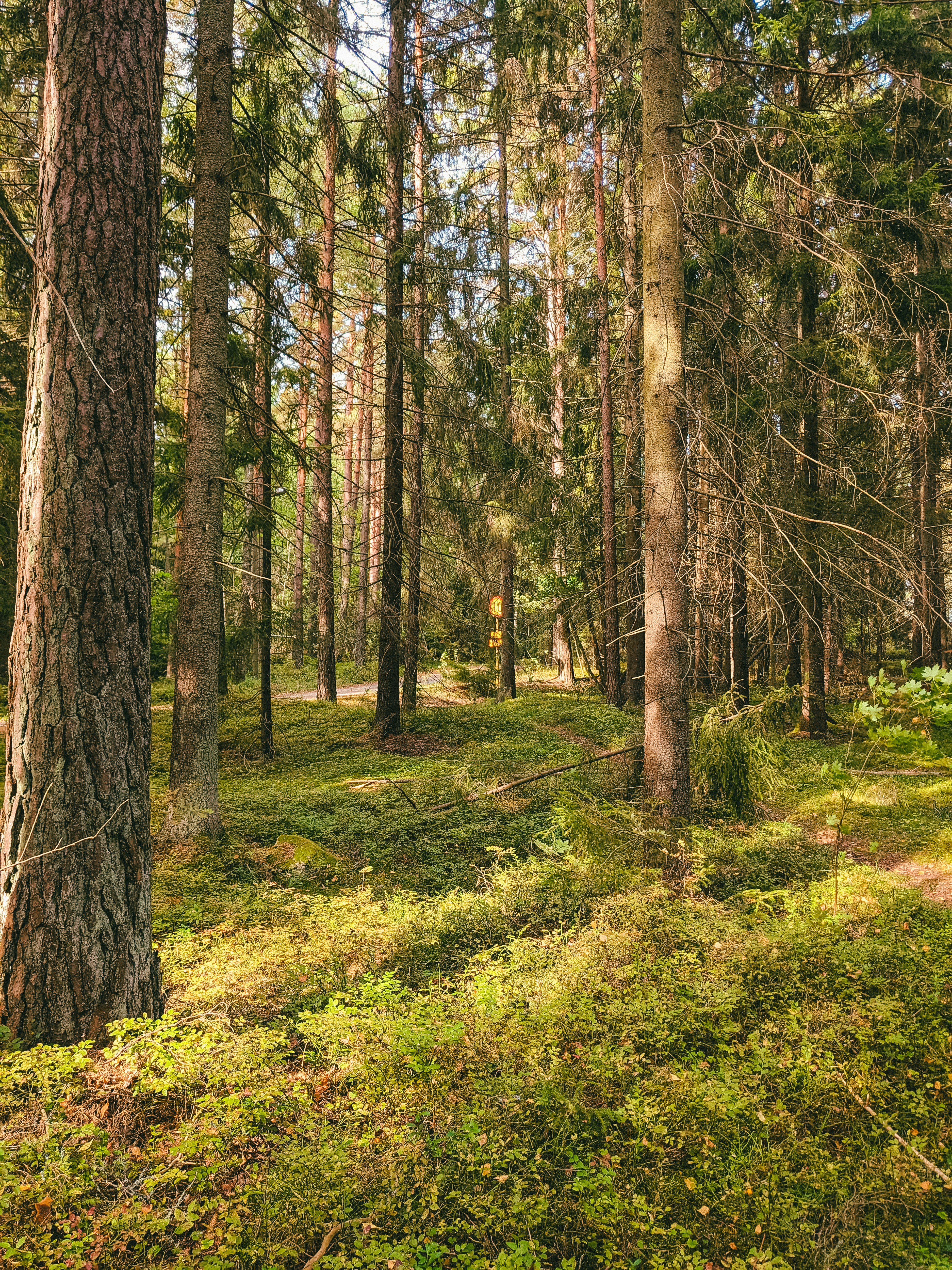 강씨봉자연휴양림 예약방법