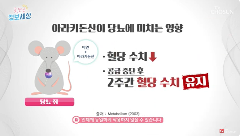 흑염소 효능 부작용 효과적인 복용법