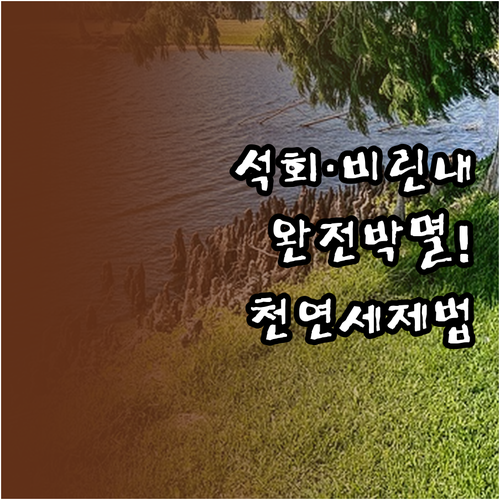 가습기 석회질과 물비린내 해결하는 효..