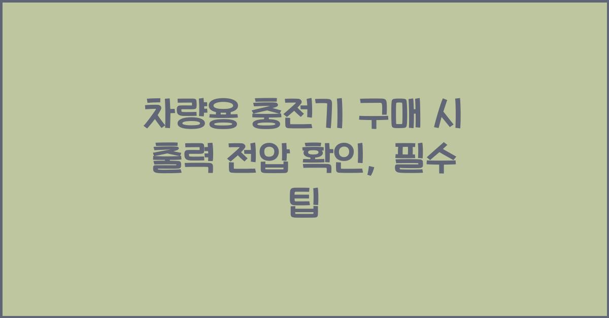 차량용 충전기 구매 시 출력 전압 확인