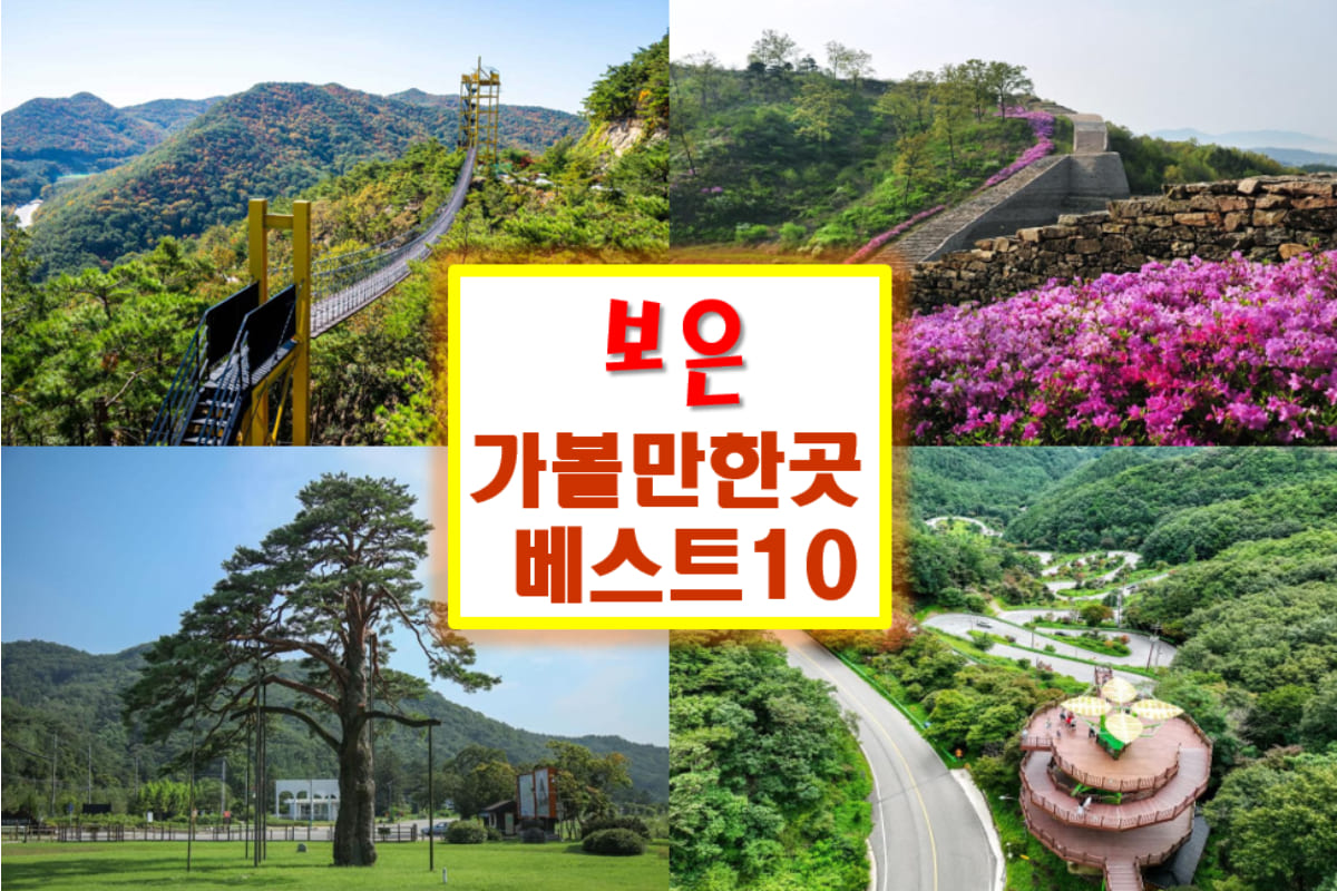 보은 가볼만한곳 베스트10