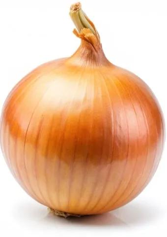 양파 보관법 양파 오래 보관법 3가지 방법_11