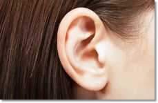 귀 혈자리 위치 지압법