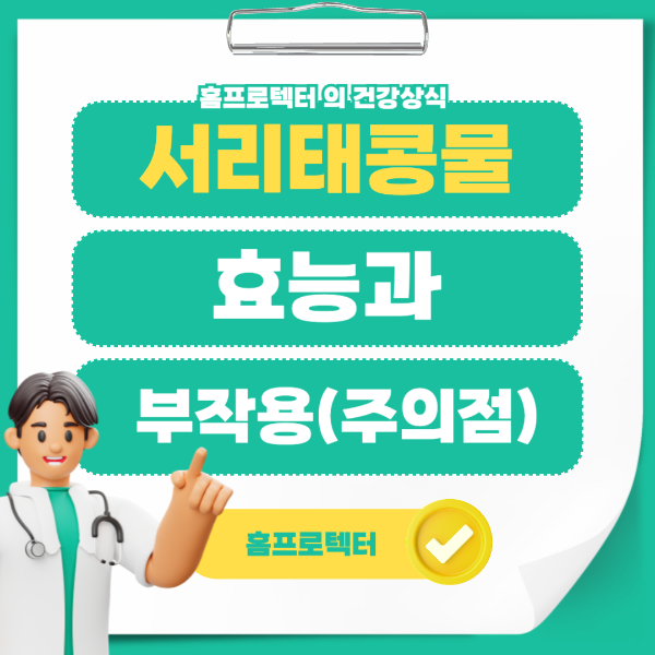 서리태 콩물 효능과 부작용 주의점