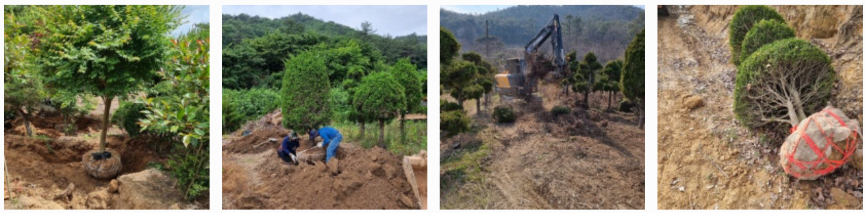 생생정보통 오늘방송(3월 3일) 맛집 이원희맛집직화쌈밥,에덴농원