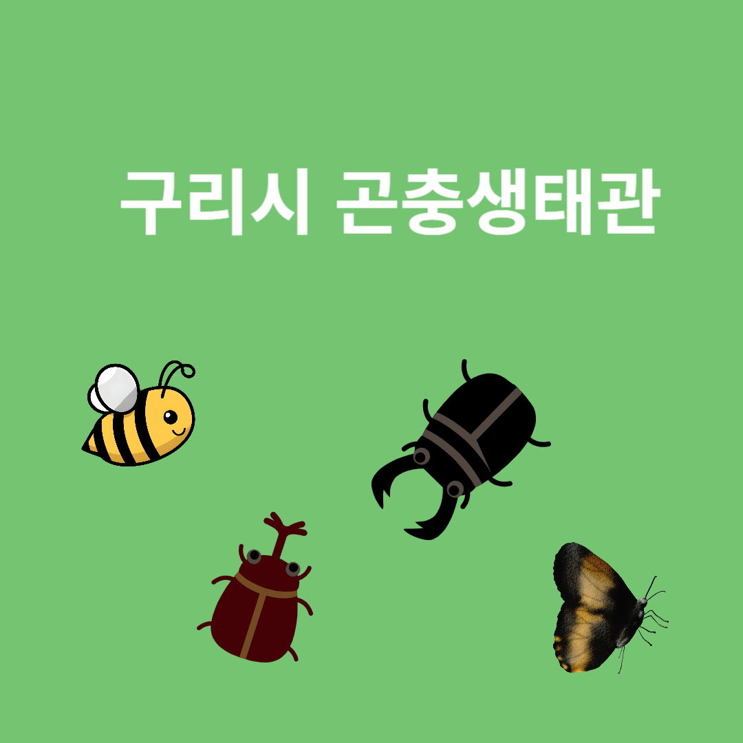 구리시 곤충생태관