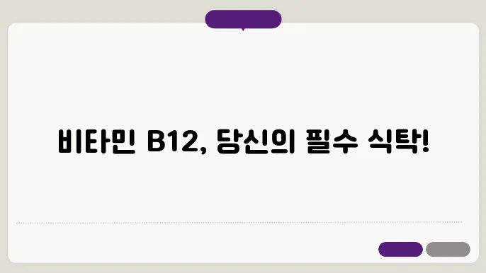 비타민b12가 많은 음식