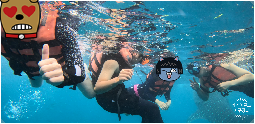 세부 오슬롭 고래상어