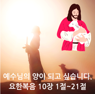 예수님의 양이 되고 싶습니다. 요한복음 10장 1절~21절