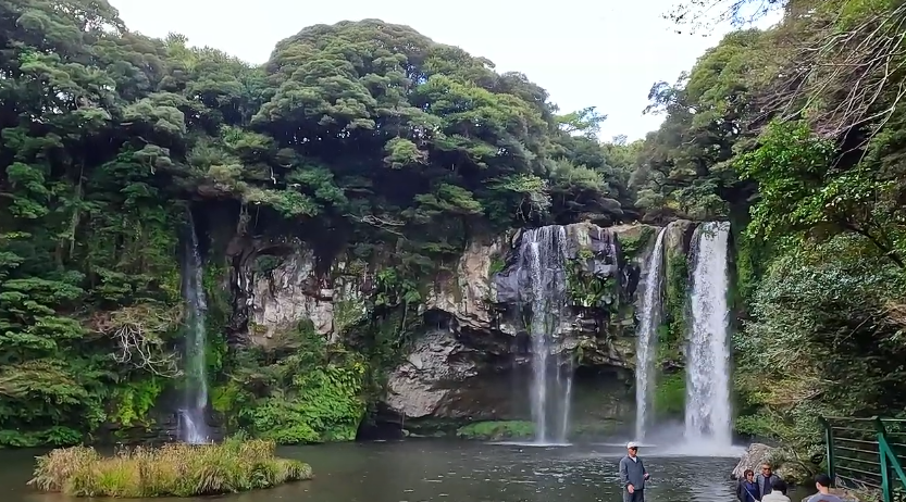 제주도에서 가장 유명한 관광지로 빠지지 않고 들어가는 천지연폭포의 장엄한 모습.