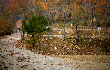 봉봉오토캠핑장