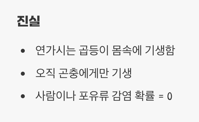 가장 큰 공포, 연가시의 진실