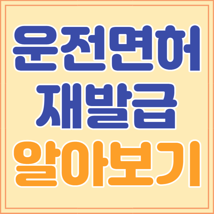 운전면허증 재발급 준비물&#44; 비용