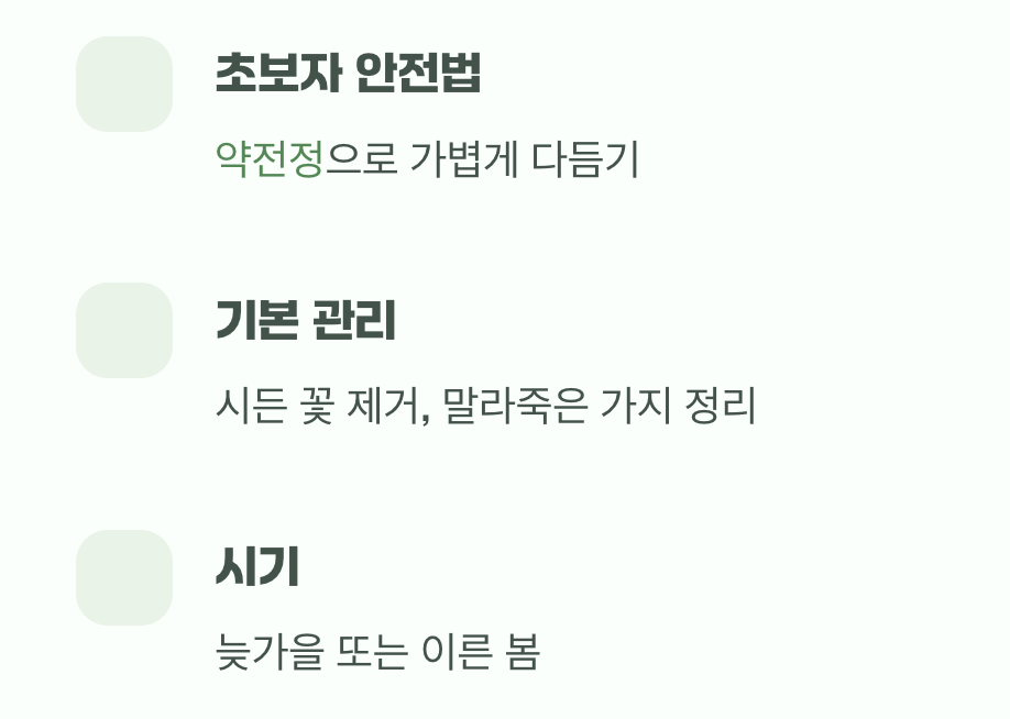 가장 어려운 숙제, 가지치기