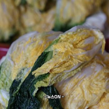 절임배추 20kg 몇포기