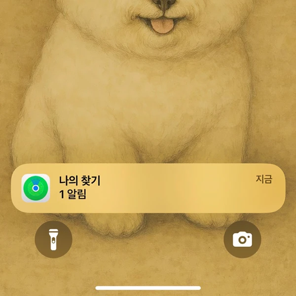 나의-찾기-활성화