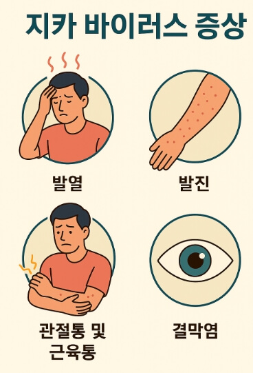 지카바이러스 주요증상 정리 이미지
