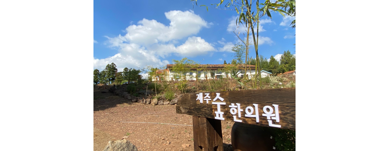 제주 서귀포시 불면증