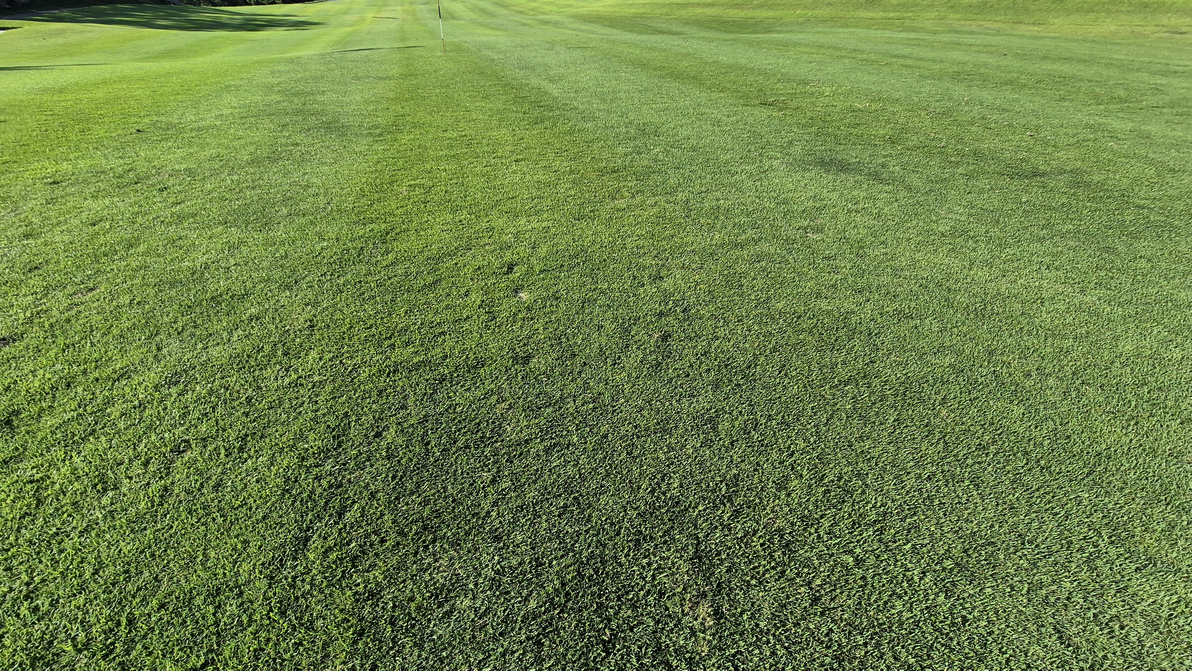 힐데스하임cc 밸리-레이크 코스 라운드 후기