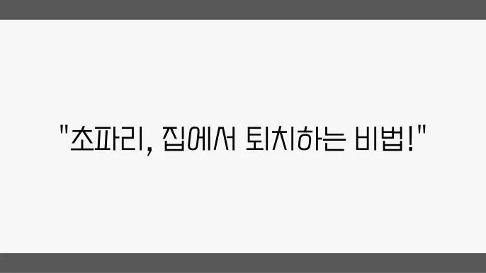 초파리 없애는 방법