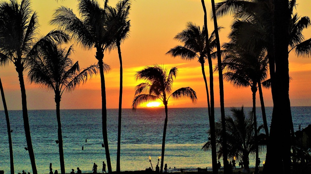 신혼여행지 관련 사진