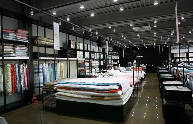 코지네스트 일산직영점