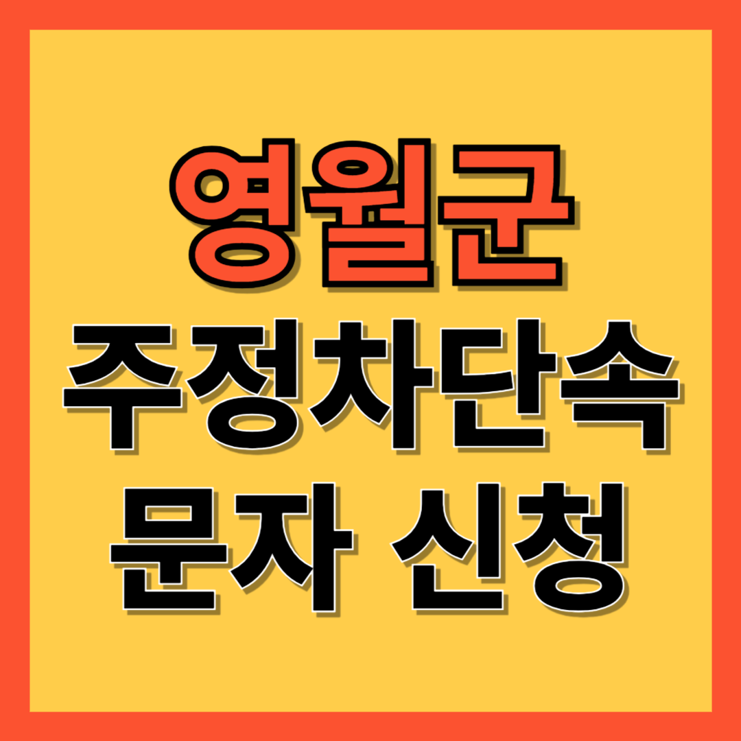 영군 주정차 단속 알림 서비스 신청 방법 ❘ 주차단속 문자알림서비스
