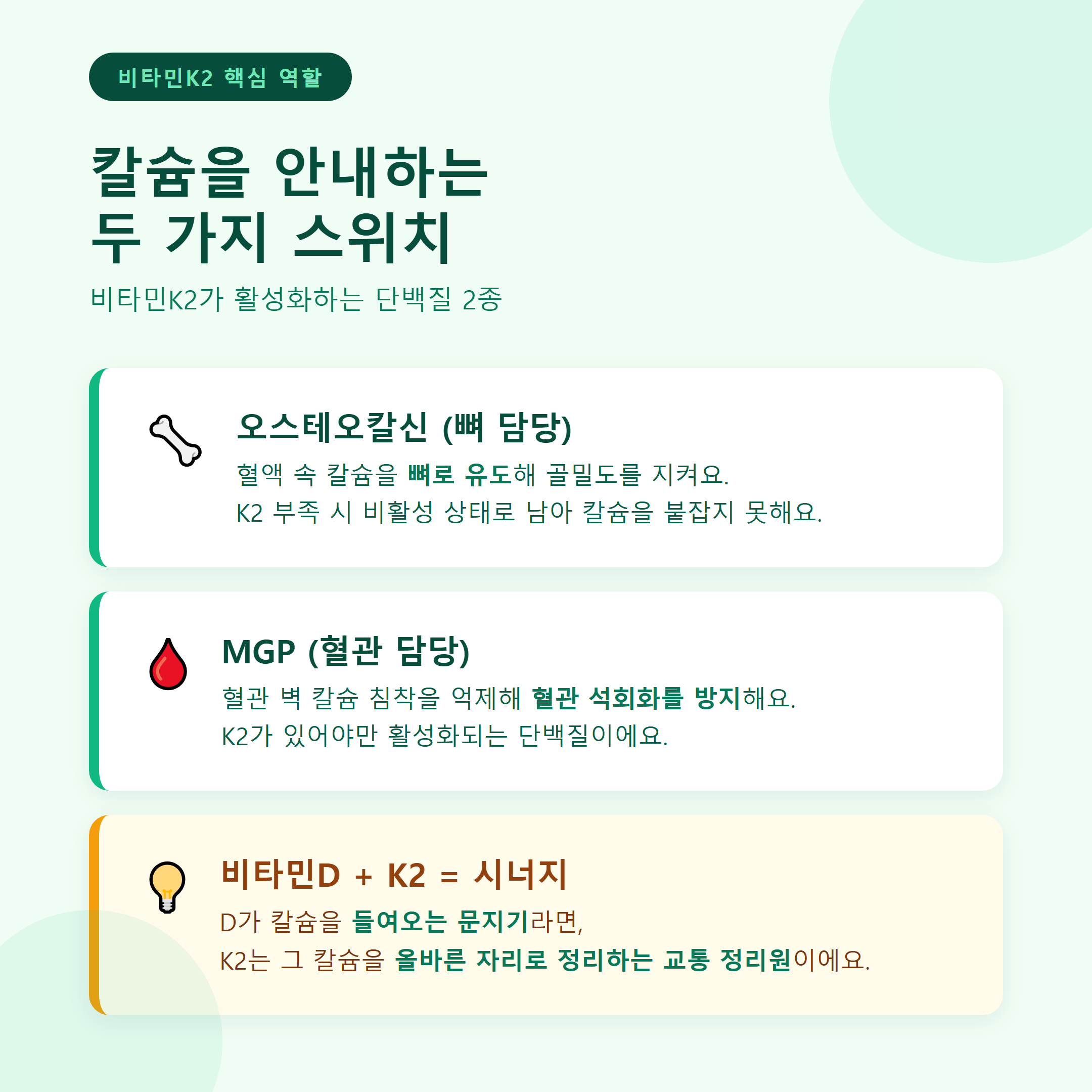 비타민K2가 뼈와 혈관에서 칼슘을 안내하는 두 가지 단백질 역할 &mdash; 오스테오칼신과 MGP