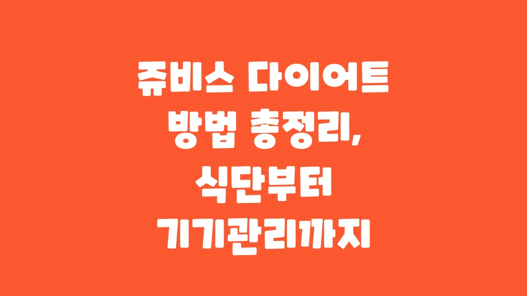 쥬비스 다이어트 방법 총정리 식단부터 기기관리까지