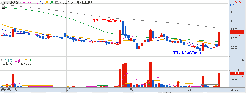 9월 20일 상한가 종목 엔젠바이오 일봉 차트