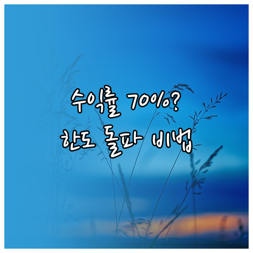 위험자산 투자 한도 70% 제한 속에..