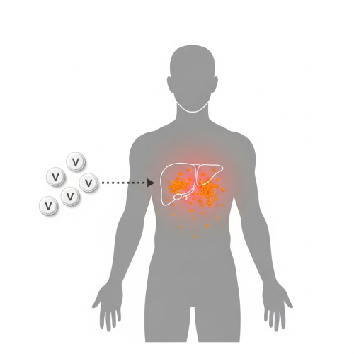 수험생 영양제 부작용
