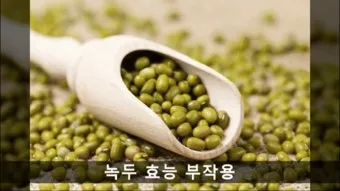 녹두 효능 부작용 녹두죽 끓이는법 칼로리 안내_20