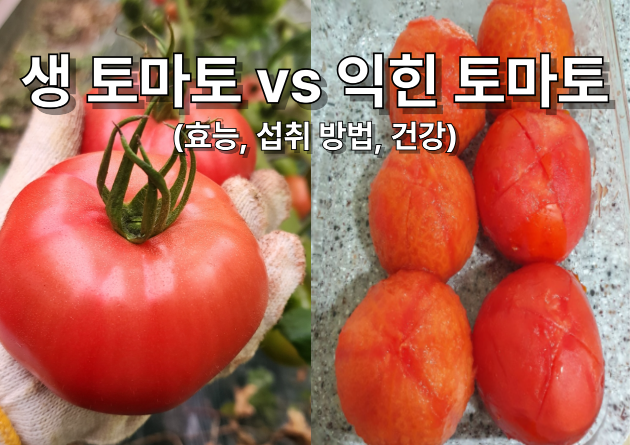생 토마토, 익힌 토마토 이미지